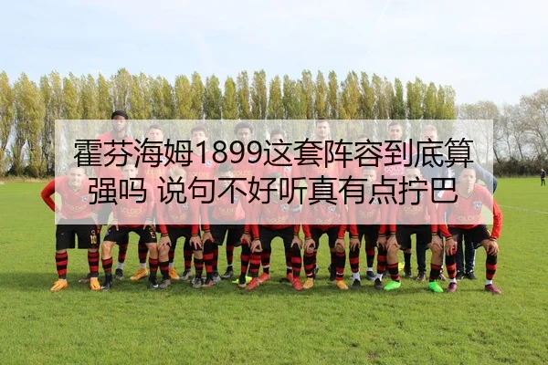 霍芬海姆1899这套阵容到底算强吗 说句不好听真有点拧巴 | c7c7·app
