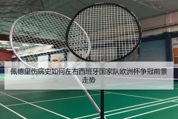 佩德里伤病史如何左右西班牙国家队欧洲杯争冠前景走势 | c7c7·app