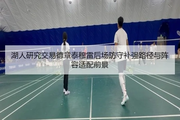 湖人研究交易德章泰穆雷后场防守补强路径与阵容适配前景